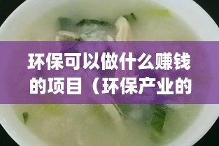 环保可以做什么赚钱的项目（环保产业的商机探索）