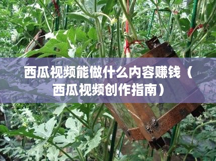 西瓜视频能做什么内容赚钱（西瓜视频创作指南）