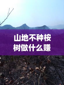 山地不种桉树做什么赚钱（山地适合种植什么作物）