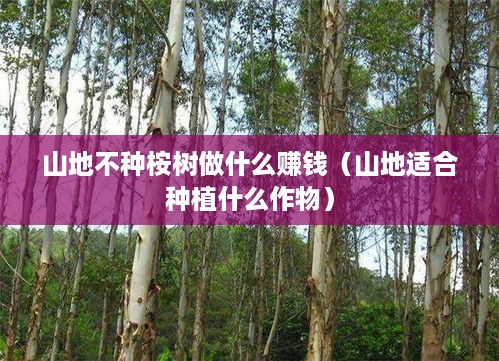 山地不种桉树做什么赚钱（山地适合种植什么作物）