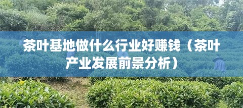 茶叶基地做什么行业好赚钱（茶叶产业发展前景分析）