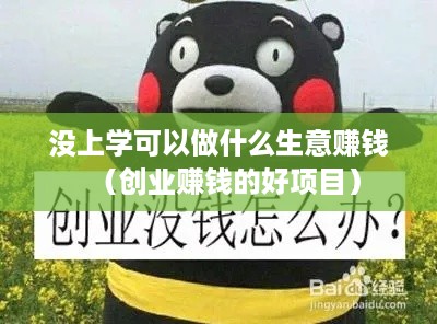 没上学可以做什么生意赚钱（创业赚钱的好项目）