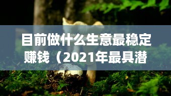 目前做什么生意最稳定赚钱（2021年最具潜力的创业项目）