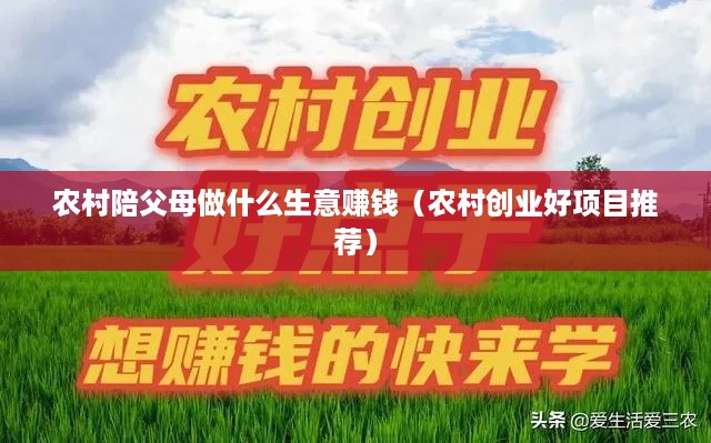 农村陪父母做什么生意赚钱（农村创业好项目推荐）