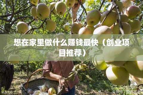 想在家里做什么赚钱最快（创业项目推荐）