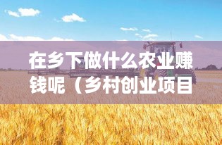 在乡下做什么农业赚钱呢（乡村创业项目推荐）