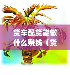 货车配货能做什么赚钱（货车配货赚钱的实用技巧）