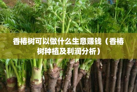 香椿树可以做什么生意赚钱（香椿树种植及利润分析）