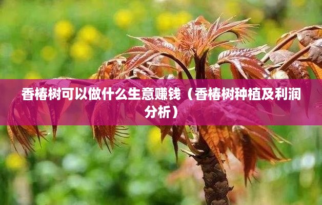 香椿树可以做什么生意赚钱（香椿树种植及利润分析）