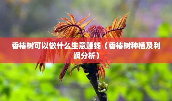 香椿树可以做什么生意赚钱（香椿树种植及利润分析）