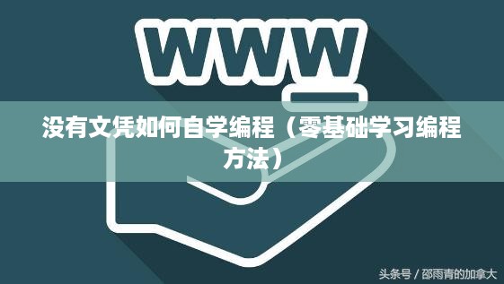 没有文凭如何自学编程（零基础学习编程方法）