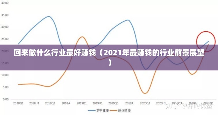 回来做什么行业最好赚钱（2021年最赚钱的行业前景展望）