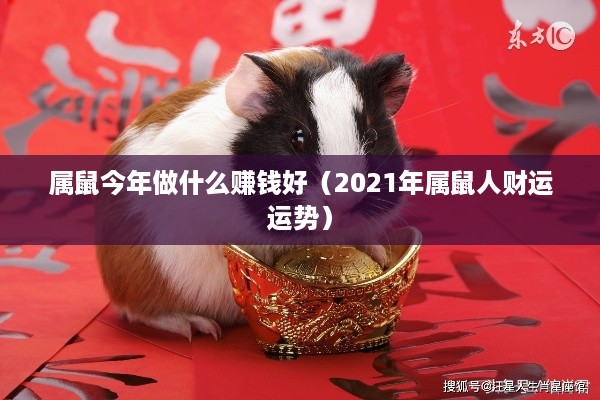 属鼠今年做什么赚钱好（2021年属鼠人财运运势）