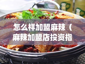 怎么样加盟麻辣（麻辣加盟店投资指南）