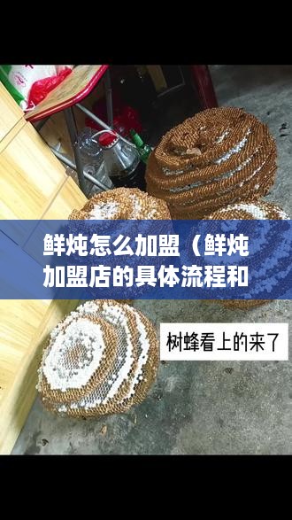 鲜炖怎么加盟（鲜炖加盟店的具体流程和条件）