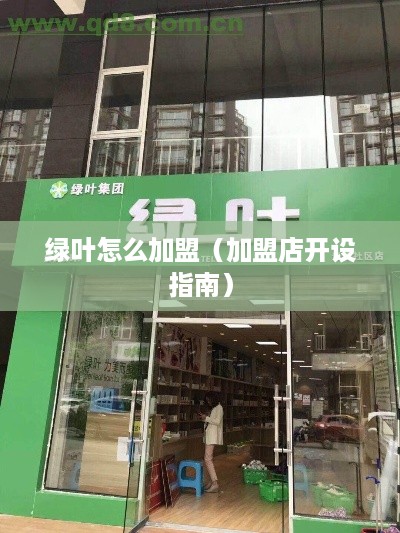 绿叶怎么加盟（加盟店开设指南）