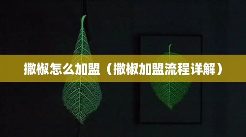 撒椒怎么加盟（撒椒加盟流程详解）