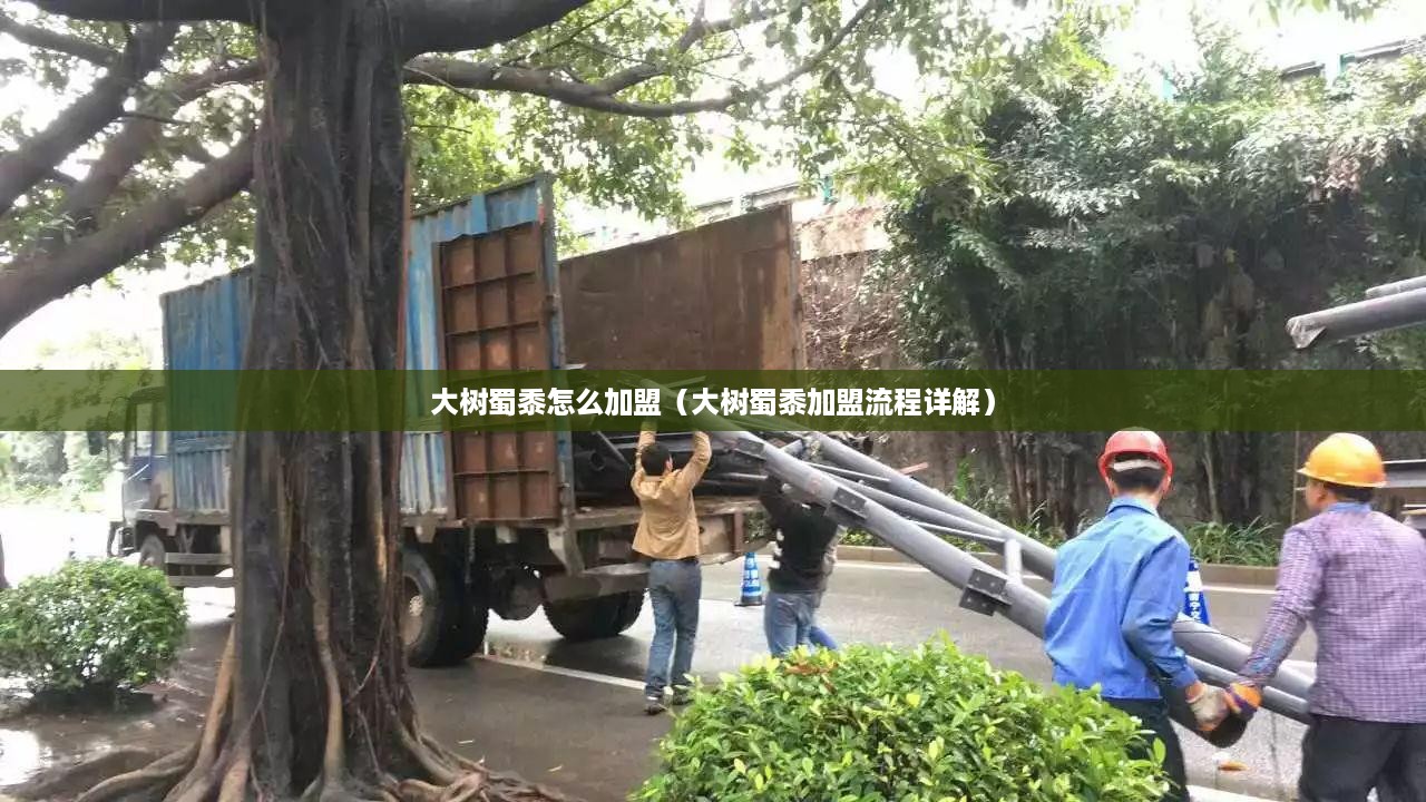 大树蜀黍怎么加盟（大树蜀黍加盟流程详解）