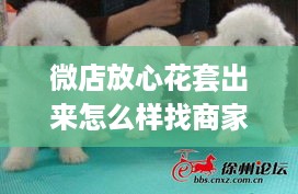 微店放心花套出来怎么样找商家呢 微店放心花好下款吗