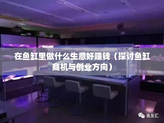 在鱼缸里做什么生意好赚钱（探讨鱼缸商机与创业方向）