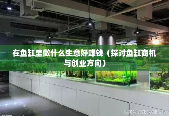 在鱼缸里做什么生意好赚钱（探讨鱼缸商机与创业方向）