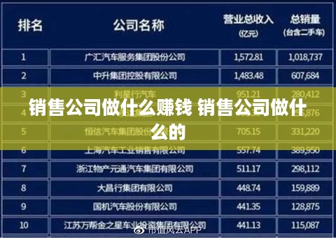 销售公司做什么赚钱 销售公司做什么的