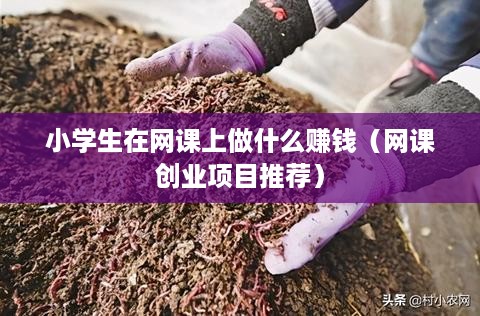 小学生在网课上做什么赚钱（网课创业项目推荐）