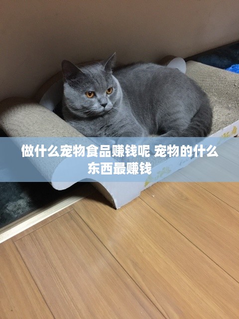 做什么宠物食品赚钱呢 宠物的什么东西最赚钱