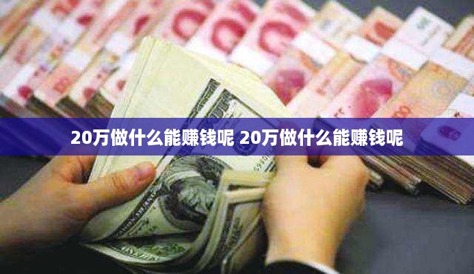 20万做什么能赚钱呢 20万做什么能赚钱呢