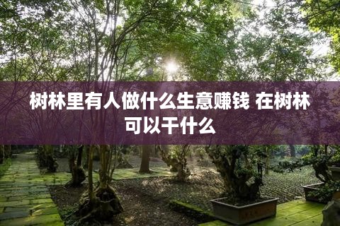 树林里有人做什么生意赚钱 在树林可以干什么