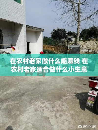 在农村老家做什么能赚钱 在农村老家适合做什么小生意