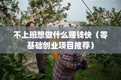 不上班想做什么赚钱快（零基础创业项目推荐）