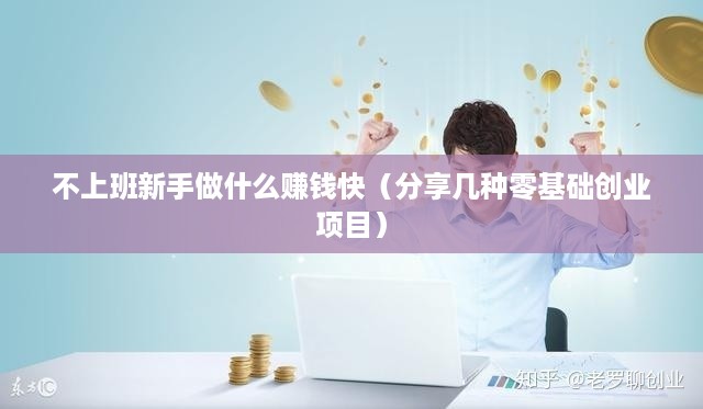 不上班新手做什么赚钱快（分享几种零基础创业项目）