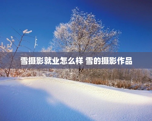 雪摄影就业怎么样 雪的摄影作品