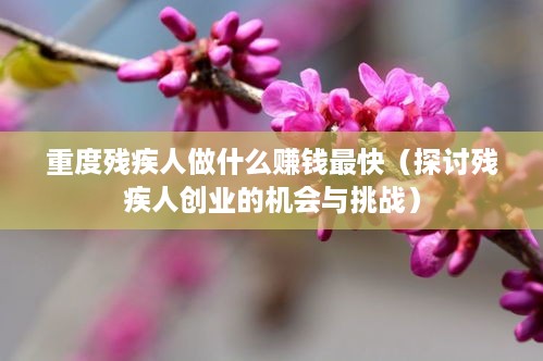 重度残疾人做什么赚钱最快（探讨残疾人创业的机会与挑战）