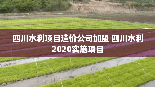 四川水利项目造价公司加盟 四川水利2020实施项目