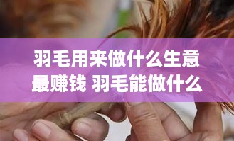 羽毛用来做什么生意最赚钱 羽毛能做什么工艺品