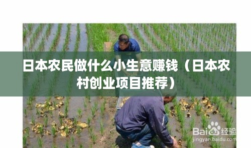 日本农民做什么小生意赚钱（日本农村创业项目推荐）