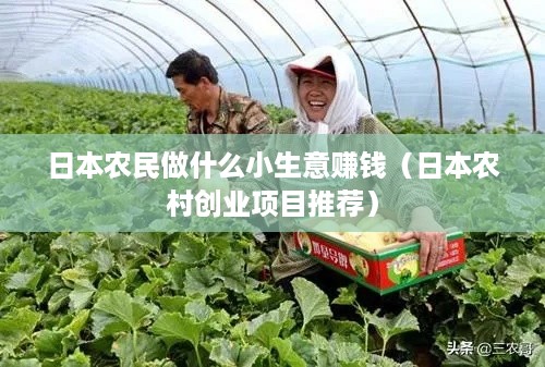日本农民做什么小生意赚钱（日本农村创业项目推荐）