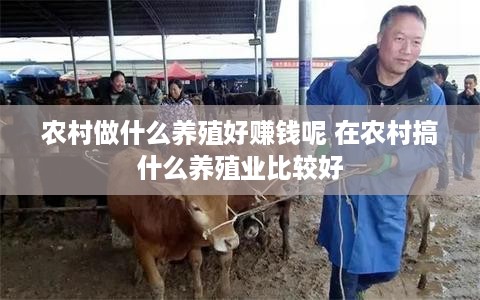 农村做什么养殖好赚钱呢 在农村搞什么养殖业比较好