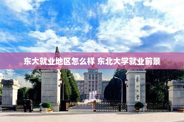 东大就业地区怎么样 东北大学就业前景