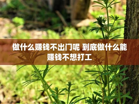 做什么赚钱不出门呢 到底做什么能赚钱不想打工