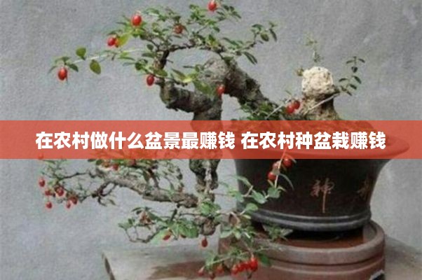 在农村做什么盆景最赚钱 在农村种盆栽赚钱