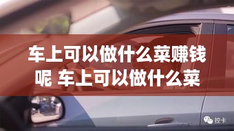 车上可以做什么菜赚钱呢 车上可以做什么菜赚钱呢视频