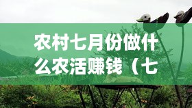 农村七月份做什么农活赚钱（七月农村经济收入途径分析）