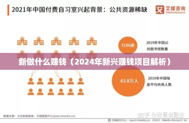 新做什么赚钱（2024年新兴赚钱项目解析）