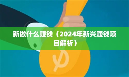 新做什么赚钱（2024年新兴赚钱项目解析）