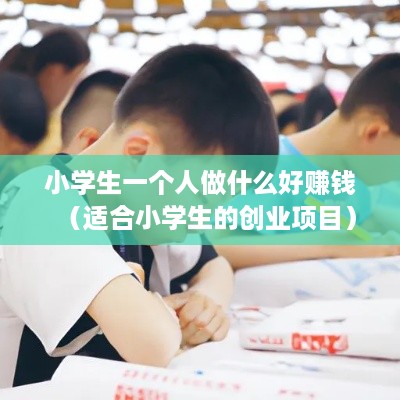 小学生一个人做什么好赚钱（适合小学生的创业项目）