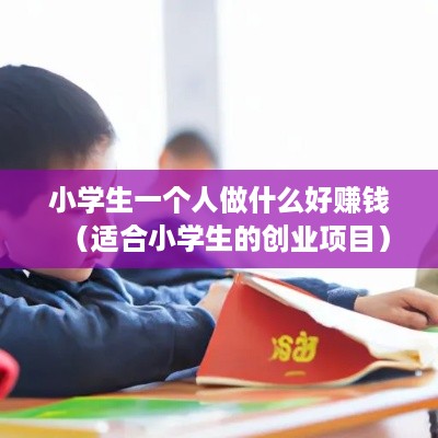 小学生一个人做什么好赚钱（适合小学生的创业项目）