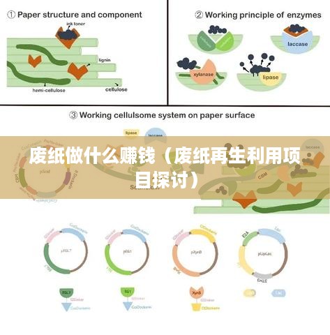 废纸做什么赚钱（废纸再生利用项目探讨）